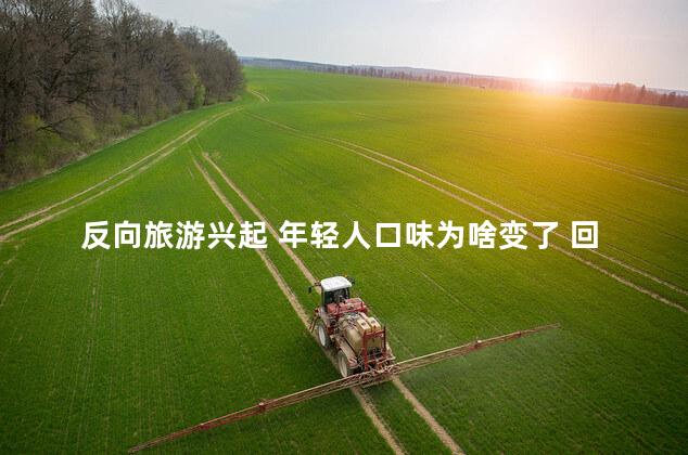 反向旅游兴起 年轻人口味为啥变了 回归旅行的初心